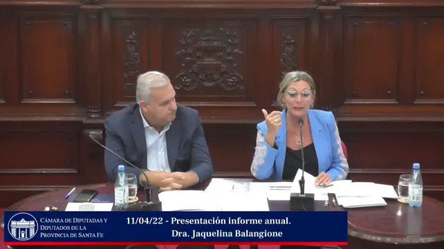 Jaquelina Balangione, defensora provincial, este martes en la C&aacute;mara de Diputados
