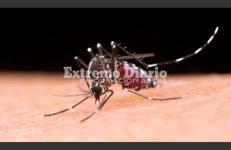 Imagen de Confirmaron la primera muerte por dengue en la ciudad de Santa Fe, la segunda en toda la provincia