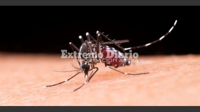 Imagen de Confirmaron la primera muerte por dengue en la ciudad de Santa Fe, la segunda en toda la provincia