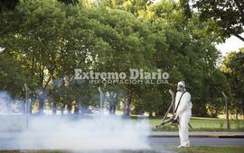 Imagen de Ya son m&aacute;s de 10 mil los casos de dengue en la provincia