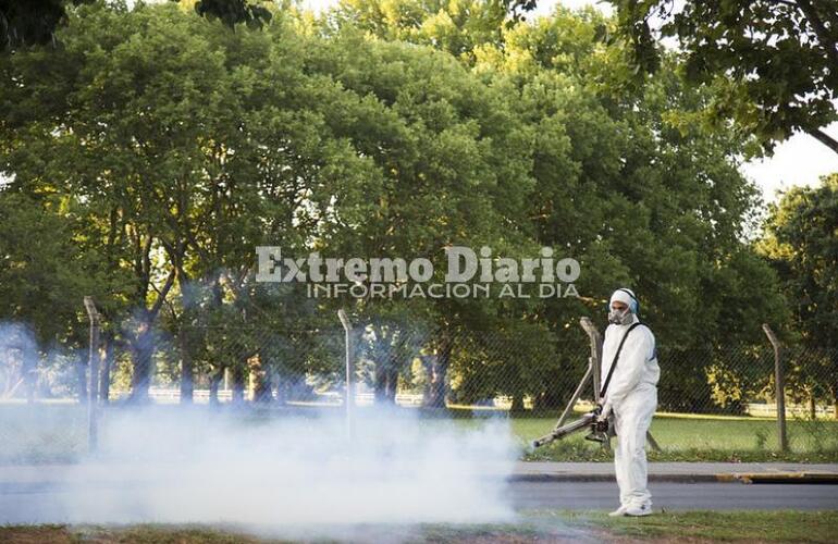 Imagen de Ya son más de 10 mil los casos de dengue en la provincia