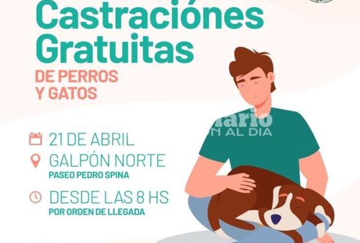 Imagen de Nueva jornada de castraciones gratuitas en el Paseo Pedro Spina