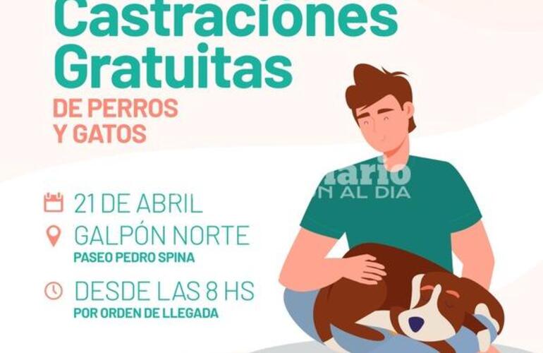 Imagen de Nueva jornada de castraciones gratuitas en el Paseo Pedro Spina