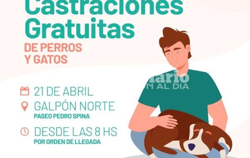 Imagen de Nueva jornada de castraciones gratuitas en el Paseo Pedro Spina