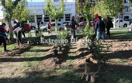 Imagen de Alumnos de la Escuela Especial y el vivero intervinieron la plaza 9 de julio