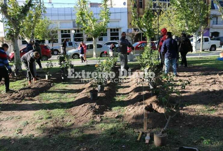 Imagen de Alumnos de la Escuela Especial y el vivero intervinieron la plaza 9 de julio