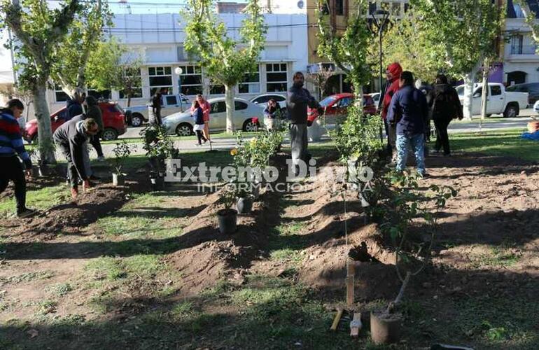 Imagen de Alumnos de la Escuela Especial y el vivero intervinieron la plaza 9 de julio