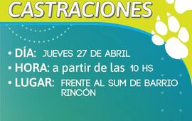 Imagen de Jornada de Castraciones