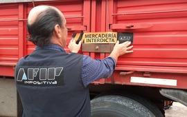 Imagen de Arroyo Seco y Venado Tuerto: Afip incaut&oacute; 314 toneladas de granos transportadas de forma ilegal