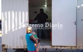 Imagen de Nueva jornada de castraciones de perros y gatos en Fighiera