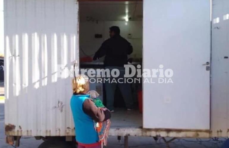 Imagen de Nueva jornada de castraciones de perros y gatos en Fighiera