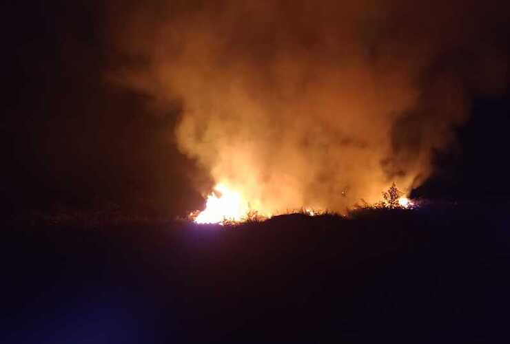 Se desconoc&iacute;a c&oacute;mo se inici&oacute; el fuego.