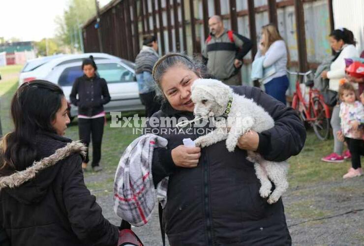 Imagen de Campaña de castraciones gratuitas en el Paseo Pedro Spina