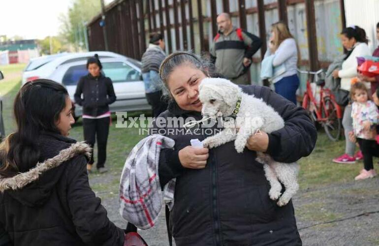 Imagen de Campaña de castraciones gratuitas en el Paseo Pedro Spina