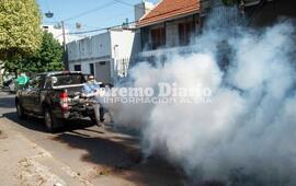 Imagen de Dengue: la circulaci&oacute;n viral est&aacute; en 15 provincias, entre ellas Santa Fe