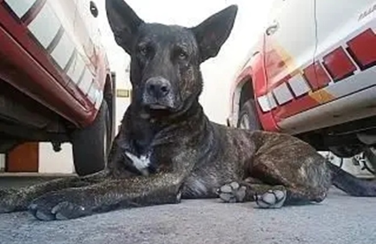 La imagen difundida por redes sociales