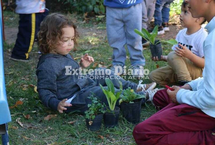 Imagen de Centro de Cuidado Infantil: Actividades en la plaza Malvinas Argentinas