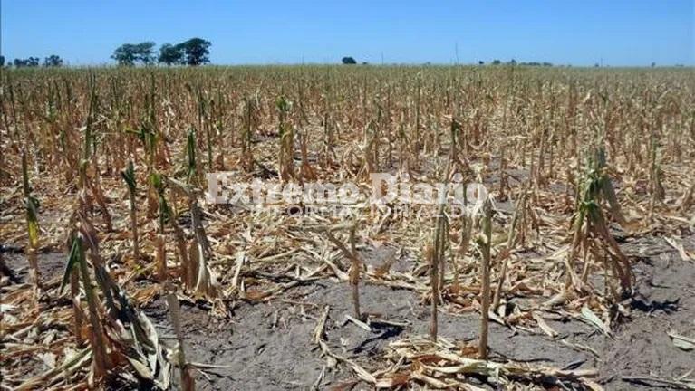 Imagen de La provincia homolog&oacute; a nivel nacional la pr&oacute;rroga de la Emergencia Agropecuaria por sequ&iacute;a en todo el territorio santafesino