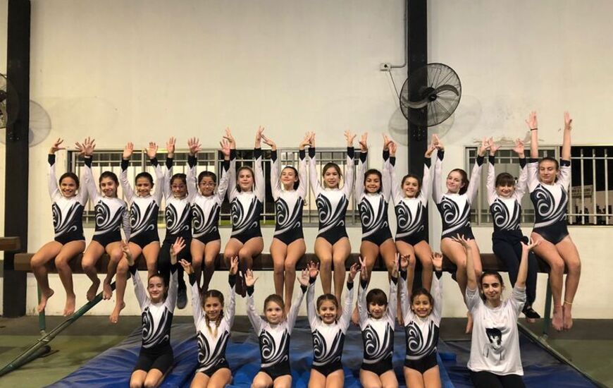 Imagen de Alumnas de Gimnasia Art&iacute;stica de Uni&oacute;n, compiten en Rosario.