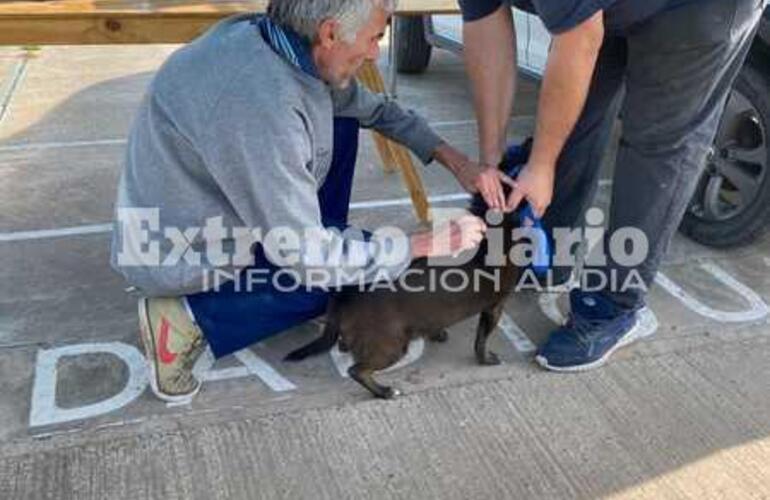 Imagen de Fighiera: Vacunación antirrábica en barrio Palermo