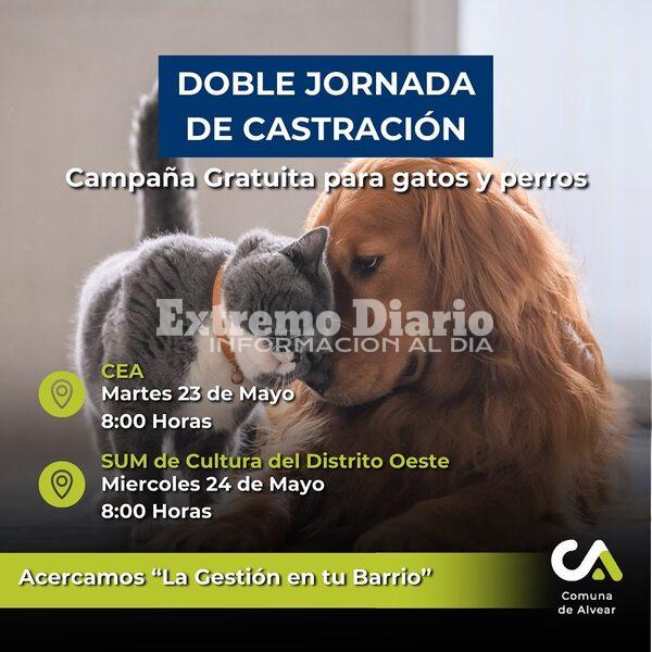 Imagen de Doble jornada de castraciones gratuitas en Alvear