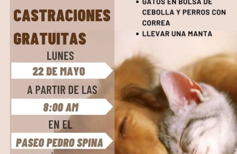 Imagen de Próxima campaña de castraciones de perros y gatos