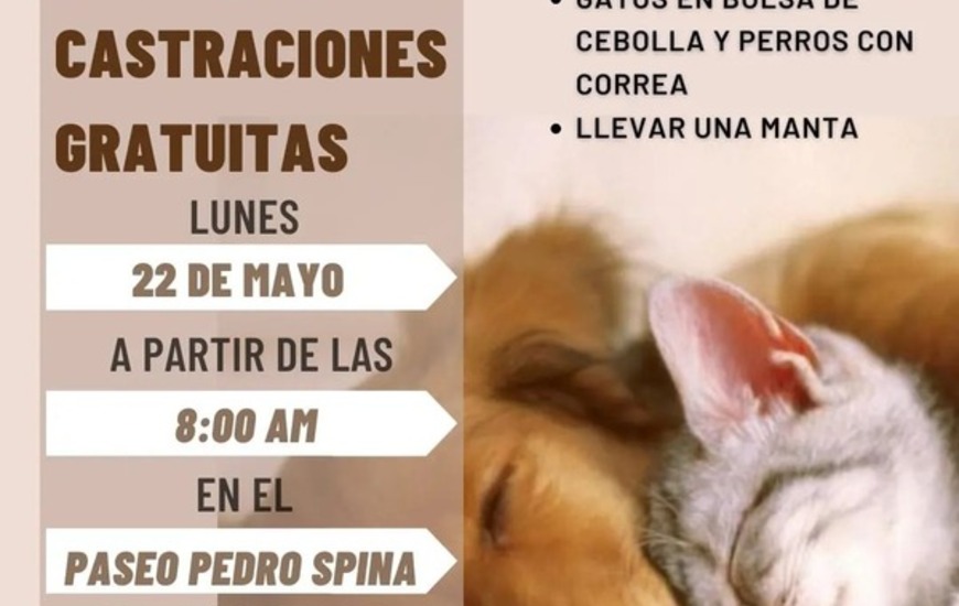 Imagen de Pr&oacute;xima campa&ntilde;a de castraciones de perros y gatos