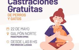 Imagen de Campa&ntilde;a de castraciones gratuitas en el Paseo Pedro Spina