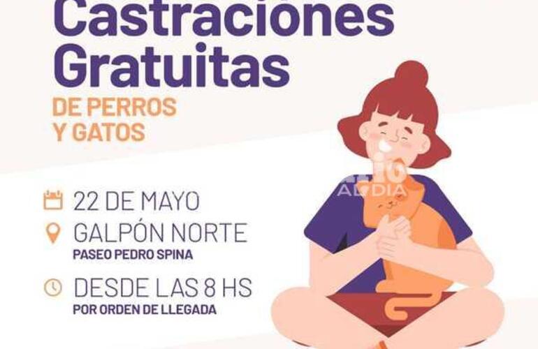 Imagen de Campaña de castraciones gratuitas en el Paseo Pedro Spina