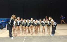 Imagen de Alumnas de Gimnasia Art&iacute;stica de C.A.U. compitieron en Rosario.
