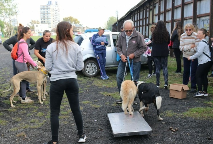 Imagen de Se realiz&oacute; una nueva jornada de castraciones