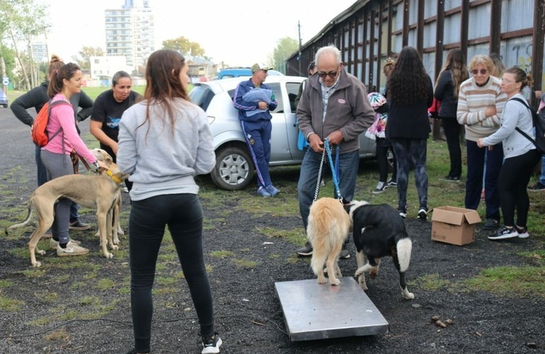 Imagen de Se realiz&oacute; una nueva jornada de castraciones