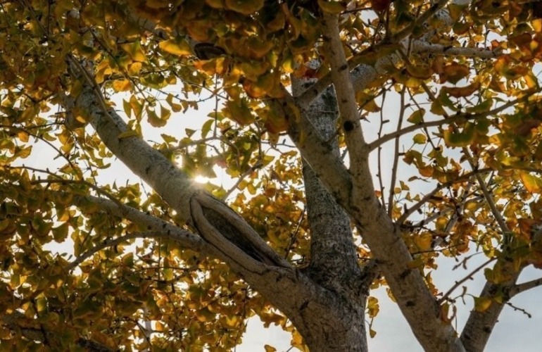 Imagen de Mucho fr&iacute;o para arrancar despu&eacute;s del finde largo