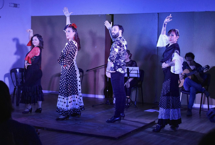 Imagen de Noche Flamenca en el Centro Cultural de Pueblo Esther.