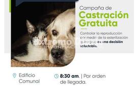 Imagen de Fighiera: Nueva campa&ntilde;a de castraci&oacute;n de mascotas