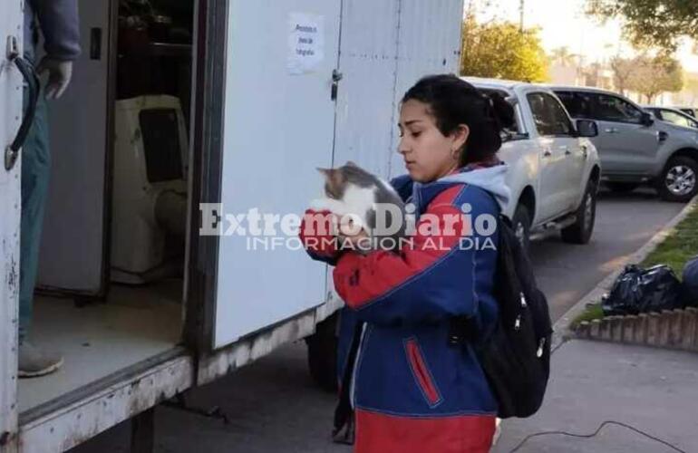 Imagen de Fighiera realiz&oacute; una nueva jornada de castraciones gratuitas