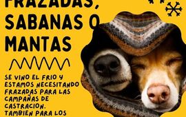 Imagen de Bicheros: Colecta de frazadas y mantas para los sin voz