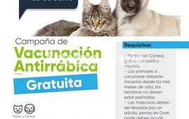 Imagen de Vacunaci&oacute;n antirr&aacute;bica gratuita en el barrio Costa del Paran&aacute; de Fighiera