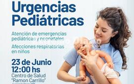 Imagen de Jornada de capacitaci&oacute;n: �Urgencias pedi&aacute;tricas� en el Ram&oacute;n Carrillo