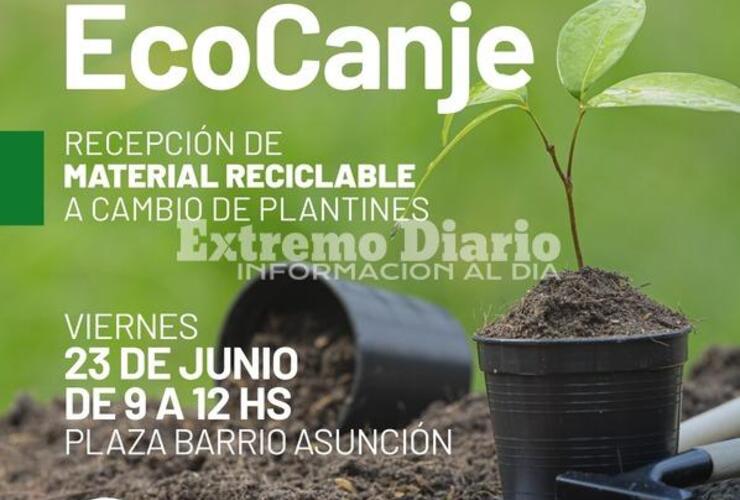 Imagen de Este viernes habr&aacute; ecocanje en la plaza del barrio Asunci&oacute;n