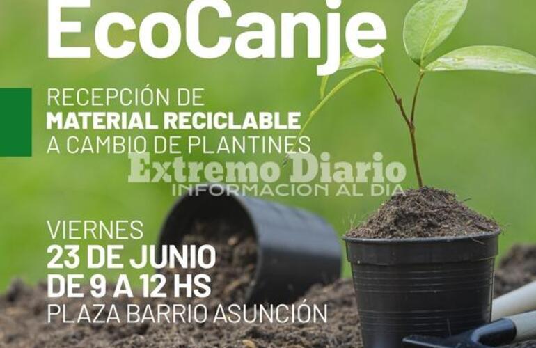 Imagen de Este viernes habrá ecocanje en la plaza del barrio Asunción