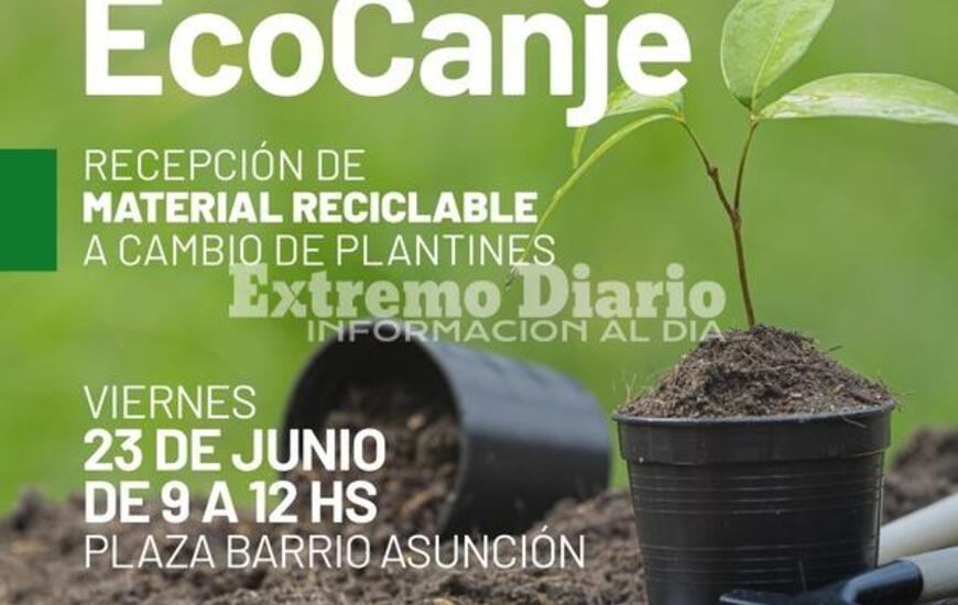 Imagen de Este viernes habr&aacute; ecocanje en la plaza del barrio Asunci&oacute;n