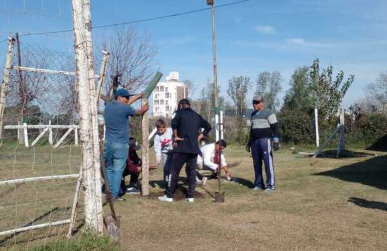 Imagen de Los Amigos de la Estación, remodelan alambrado perimetral en las canchas del ferrocarril.