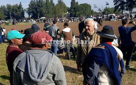 Imagen de Nizar Esper recorri&oacute; la jornada de destreza criolla en Arroyo Seco