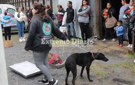 Imagen de Se realizaron 96 esterilizaciones en una nueva campa&ntilde;a de castraciones gratuitas