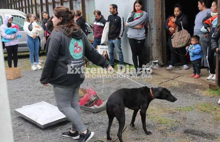 Imagen de Se realizaron 96 esterilizaciones en una nueva campaña de castraciones gratuitas