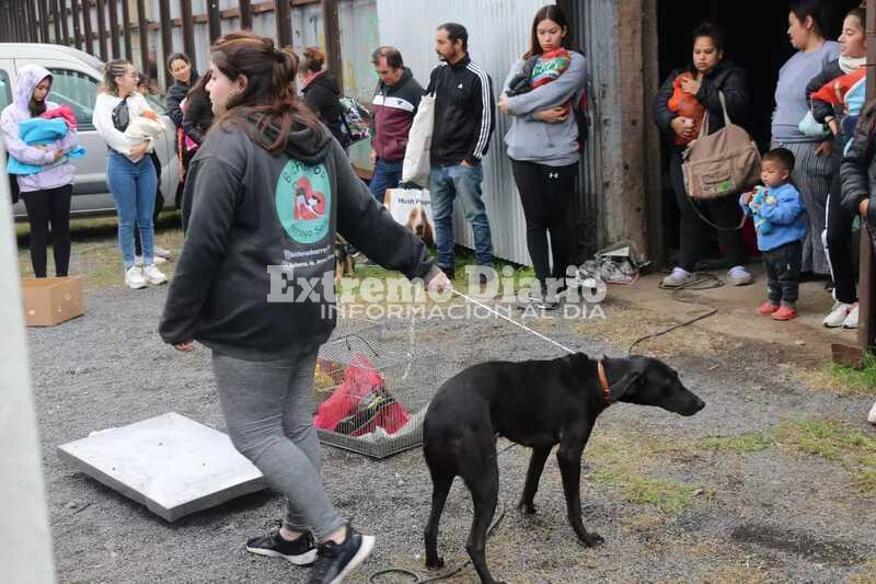 Imagen de Se realizaron 96 esterilizaciones en una nueva campa&ntilde;a de castraciones gratuitas
