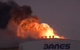 Las llamas avanzaban en una zona del predio. (Imagen video)