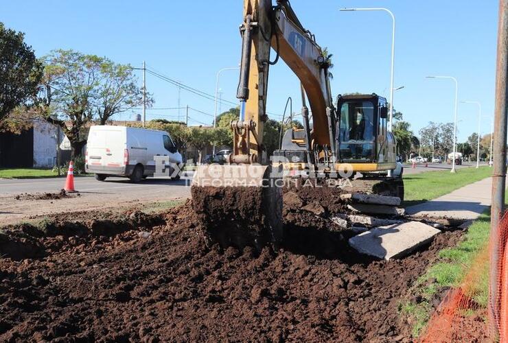 Provincia avanza con la obra