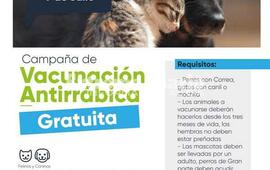 Imagen de Vacunaci&oacute;n antirr&aacute;bica gratuita en la Plaza P&uacute;blica de Fighiera